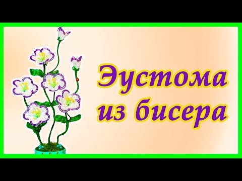 Видео: Цветок Эустома из бисера.