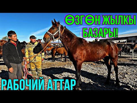 Видео: ӨСПҮРҮМДӨР РАБОЧИЙ АТТАР ЧЫКТЫ 🤯 #байтв