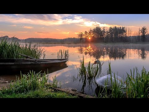 Видео: Словил Амура! Грибы пошли!