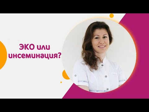 Видео: ЭКО или инсеминация: с чего начать?