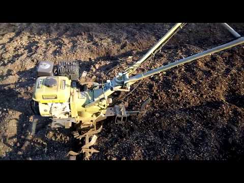 Видео: клубника просто о сложном. маточник 2