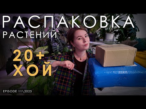 Видео: ПОСЛЕДНЯЯ большая РАСПАКОВКА перед зимой