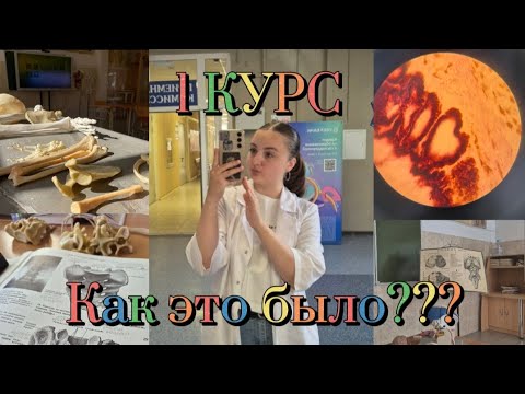 Видео: МОЙ 1 КУРС И КАК ЭТО БЫЛО