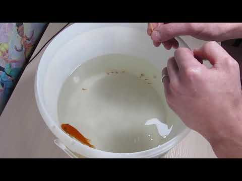 Видео: Мальки зебры красной Maylandia estherae