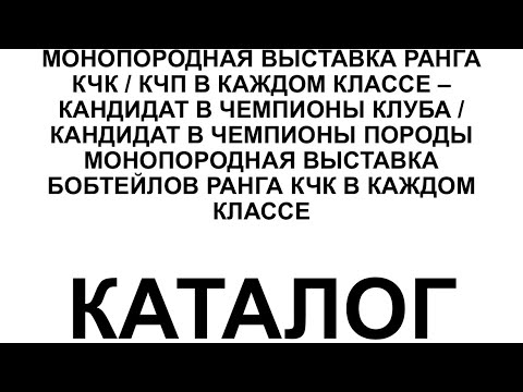 Видео: Монопородная выставка Староанглийской Овчарки ранга КЧК, в г  Москве 12/10/2024