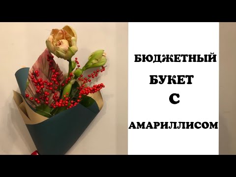 Видео: Бюджетный букет с амариллисом