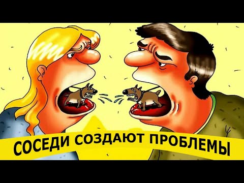 Видео: "Ахиллесова пята".