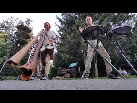 Видео: Cicadas in Acacias  live in Lipetsk 2025  summer🌞🏖️ Цикады в акациях концерт в Липецке 2025 лето.