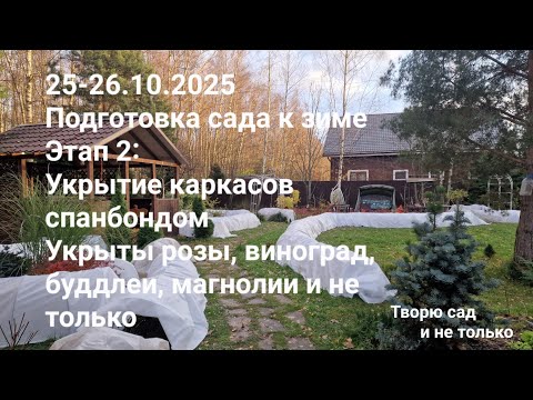 Видео: Творю сад. 25-26.10.2025. Подготовка сада к зиме. Этап 2. Спанбонд на каркасах укрытий