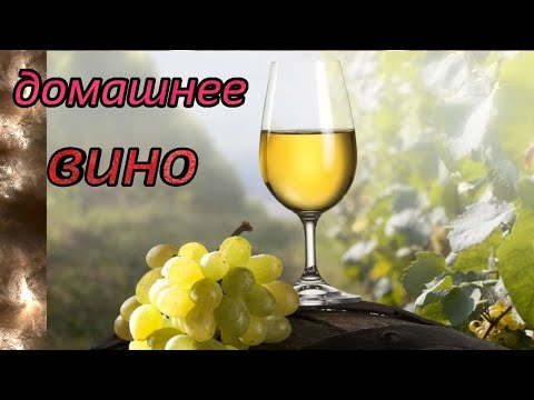 Видео: вино с белого винограда