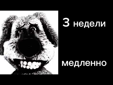 Видео: фэйка стикманыча забанят через: психованные лица бена 70 фаз зацени @маркизыч_офицал_мк