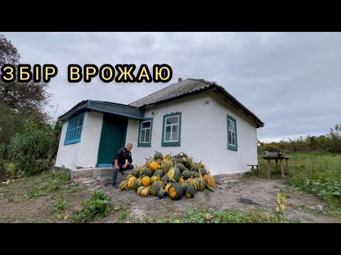 Видео: 23 года без возделывания: какой урожай дал огород