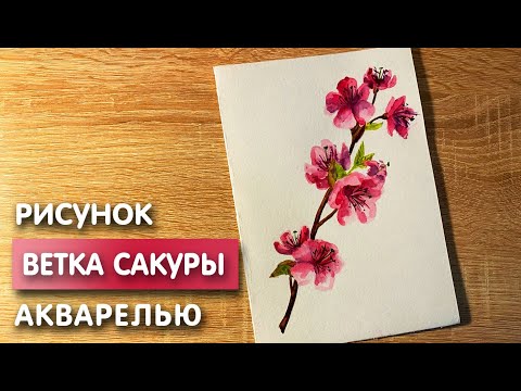 Видео: Как нарисовать ветку сакуры карандашом и акварелью начинающим | Рисунок для детей