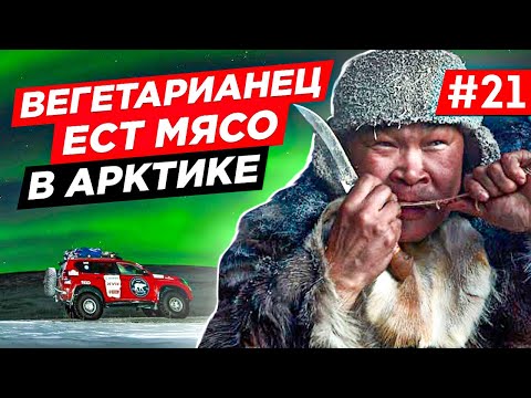 Видео: АРКТИКА ВЫБРАЛИСЬ НА ЗИМНИК. ЧТО БУДЕТ. ВЕГЕТАРИАНЕЦ СЪЕЛ МЯСО. ПОДГОТОВКА TOYOTA OFF ROAD. ЧАСТЬ 21