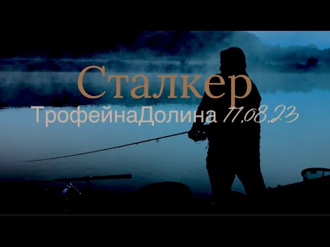 Видео: Трофейна Долина🎣«СТАЛКЕР»flat method feeder! 92.5кг.🎣🎣🎣🎣 @FamilySportFishing