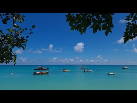 Видео: Маврикий