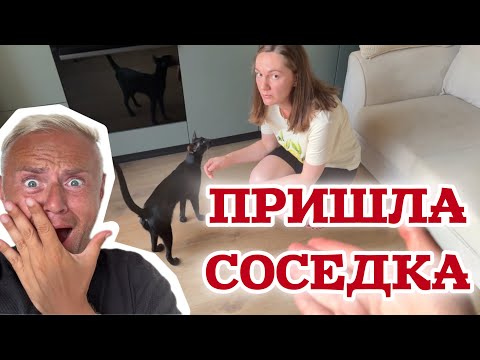 Видео: Неожиданно пришла новая соседка поговорить по душам. Хочет забрать кота.