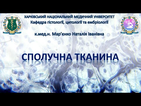 Видео: Сполучна тканина. Гістологія