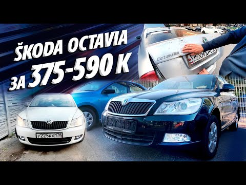 Видео: SKODA OCTAVIA A5 от 375 до 590 тыс.руб. ШКОДА ОКТАВИЯ А5