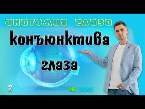 Видео: Конъюнктива глаза человека
