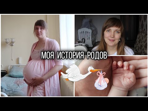 Видео: МОЯ ИСТОРИЯ РОДОВ 🤰/ ЧТО ПРИГОДИЛОСЬ В РОДДОМЕ 🌺