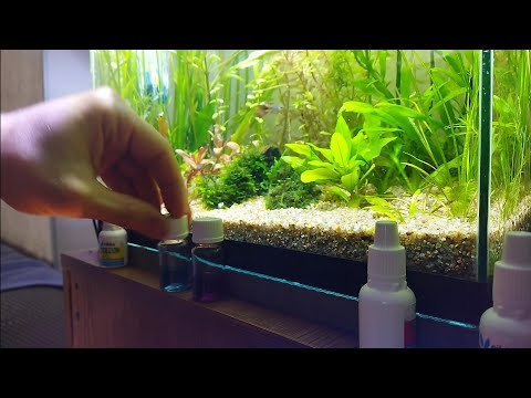 Видео: ПРУТ ВОДОРОСЛИ? Проверь эти два основных параметра. 