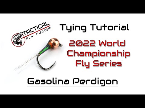 Видео: Чемпионат 2022 года: мухи — Газолина Пердигон