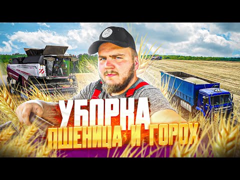 Видео: Думали будет просто?