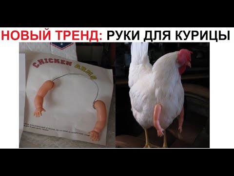 Видео: Лютые приколы. Новый тренд - руки для курицы