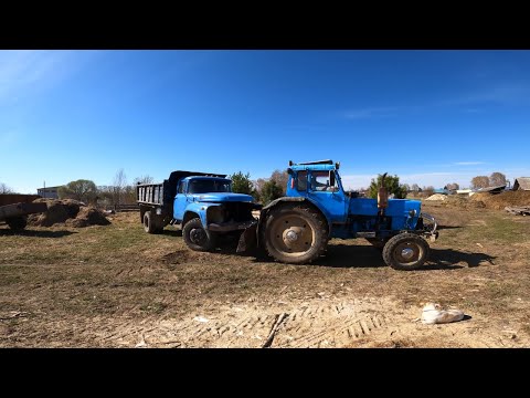 Видео: Последний путь синего ЗИЛа! Вожу навоз! Порвал колесо! МТЗ в помощь!