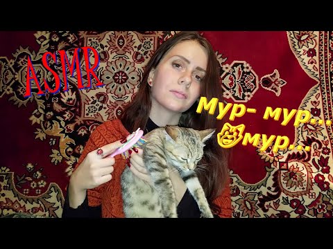 Видео: АСМР😻ASMR МУРЧАНИЕ КОТИКА😺АСМР ЗВУКИ РАСЧЁСЫВАНИ😹