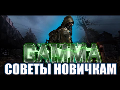 Видео: STALKER GAMMA Советы для новичков  (0.9.1,версия игры устарела).
