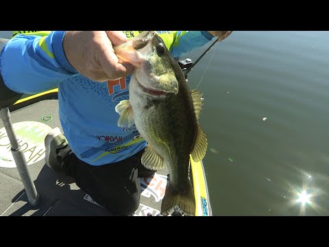 Видео: Февральская стрельба на озере Апач, Аризона.