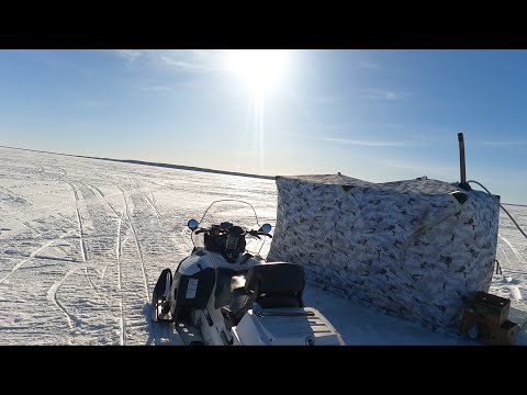 Видео: Онежский полуостров. Снегоходное путешествие. Луда - Летняя Золотица. Апрель 2023г. Часть 4-я.