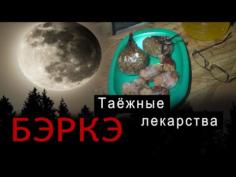 Видео: Лекарственные растения от Бэркэ.