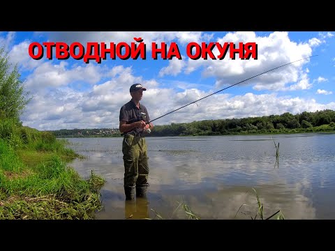 Видео: НАШЁЛ КЛЁВУЮ ТОЧКУ. ОТВОДНОЙ ПОВОДОК НА ОКУНЯ. Рыбалка на ОКЕ.