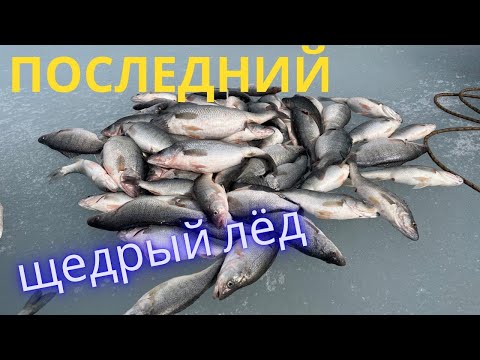 Видео: ПОСЛЕДНИЙ ЛЁД раздаЁт на Алаколе. Супер клёв.
