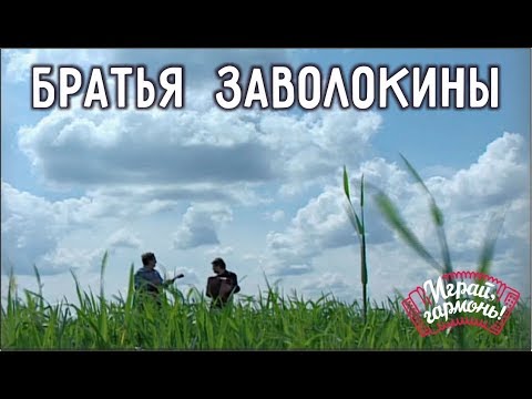 Видео: Играй, гармонь! | Александр и Геннадий Заволокины | Выходил я в полюшко