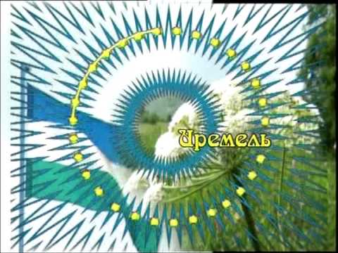 Видео: Золотое кольцо Башкортостана. Часть 1.