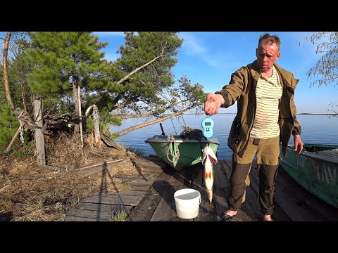 Видео: Забросили в тайгу ХМАО-Югры на рыбалку. Одного. Часть1.