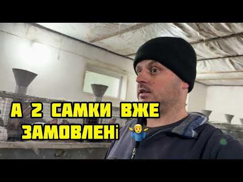 Видео: Розпродую залишки