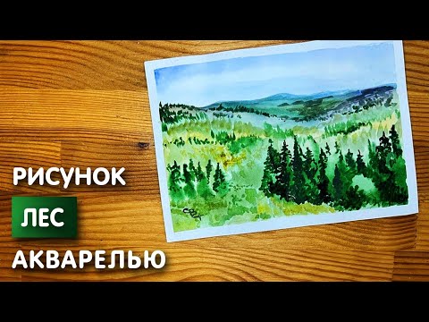 Видео: Как нарисовать лес карандашом и акварелью начинающим | Рисунок для детей