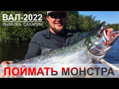 Видео: Выезд на р. Вал, Кижуч 2022 // Sakhalin silver salmon // 樺太銀鮭 // 사할린 은연어