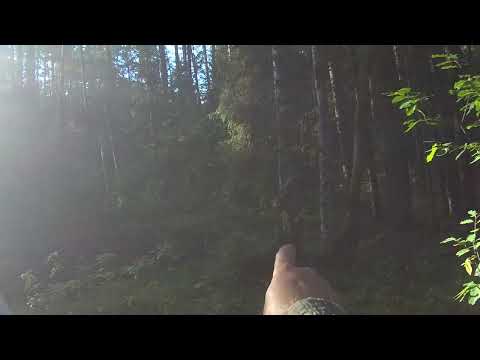 Видео: Нагонка 21.08.2025