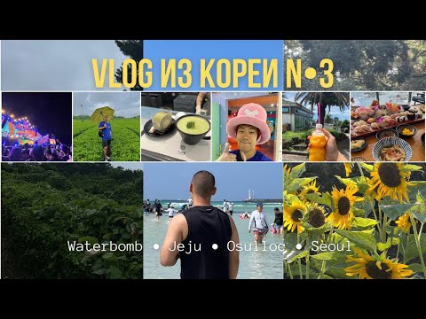 Видео: ВЛОГ из ЮЖНОЙ КОРЕИ часть №3 || JEJU и WATERBOMB fest #южнаякорея #кореявлог #vlog #корея
