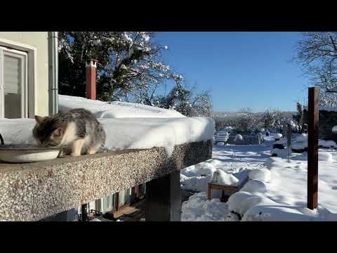 Видео: Апокалипсису конец. Есть электричество! Смотри на эту  красоту!  Что надо человеку для счастья?