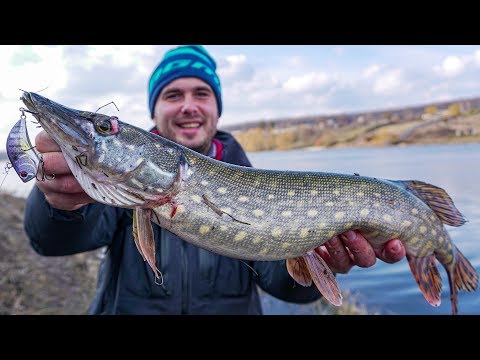 Видео: РАТТЛИН косит ЩУКУ! ЛОВЛЯ ЩУКИ НА ВОБЛЕР весной! Как ловить когда не клюет?