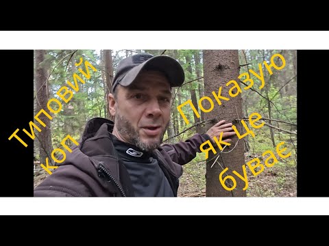 Видео: Реальний коп.Без пафосу,без монтажу-як воно є!@