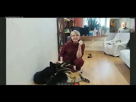 Видео: Щенок немецкой овчарки: изучаем правила игры, нельзя, дай