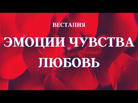 Видео: Эмоции, чувства, любовь  #ЭмоцииЧувстваЛюбовь #состояние #любовь #Весталия